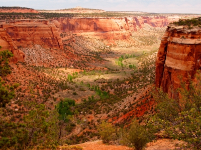 [A wide canyon with a meandering green section in the middle which either was a river at one time or holds a river during wetter times.]